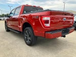 2023 F-150 Thumbnail 4