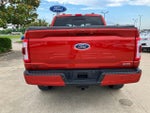 2023 F-150 Thumbnail 5
