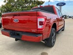 2023 F-150 Thumbnail 6