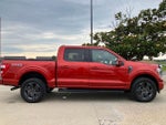 2023 F-150 Thumbnail 7