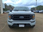 2023 F-150 Thumbnail 4