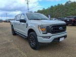 2023 F-150 Thumbnail 5