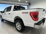 2023 F-150 Thumbnail 6