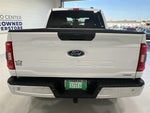 2023 F-150 Thumbnail 7