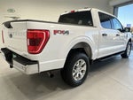 2023 F-150 Thumbnail 8