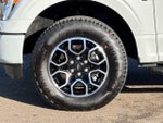 2023 F-150 Thumbnail 24