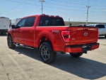 2023 F-150 Thumbnail 5