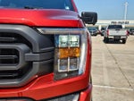 2023 F-150 Thumbnail 9