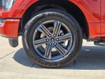 2023 F-150 Thumbnail 10