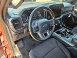 2023 F-150 Thumbnail 13