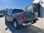 2023 F-150 Thumbnail 6