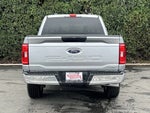 2023 F-150 Thumbnail 5