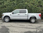 2023 F-150 Thumbnail 8