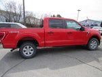 2023 F-150 Thumbnail 5