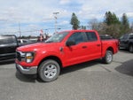 2023 F-150 Thumbnail 6