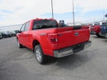 2023 F-150 Thumbnail 8