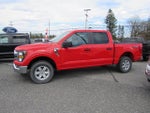2023 F-150 Thumbnail 9