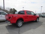 2023 F-150 Thumbnail 10