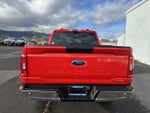 2023 F-150 Thumbnail 4