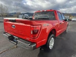 2023 F-150 Thumbnail 5