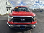 2023 F-150 Thumbnail 8