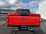 2023 F-150 Thumbnail 4
