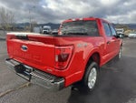 2023 F-150 Thumbnail 5