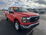 2023 F-150 Thumbnail 7