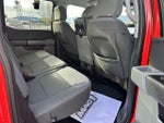 2023 F-150 Thumbnail 11