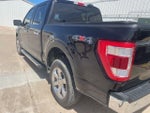 2023 F-150 Thumbnail 8