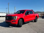 2023 F-150 Thumbnail 2