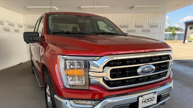 Preowned 2023 Ford F-150 Platinum for Sale