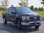 2023 F-150 Thumbnail 3