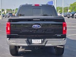 2023 F-150 Thumbnail 7