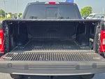 2023 F-150 Thumbnail 8