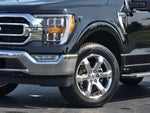 2023 F-150 Thumbnail 18