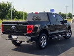 2023 F-150 Thumbnail 23