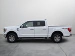 2021 F-150 Thumbnail 4