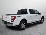 2021 F-150 Thumbnail 7