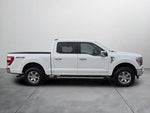 2021 F-150 Thumbnail 8