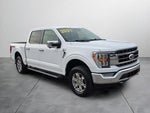 2021 F-150 Thumbnail 9