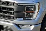 2021 F-150 Thumbnail 48