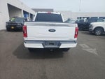 2021 F-150 Thumbnail 4