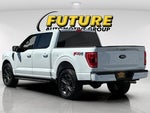 2021 F-150 Thumbnail 5