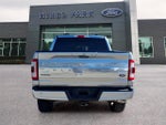 2021 F-150 Thumbnail 6