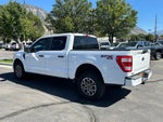 2021 F-150 Thumbnail 10