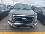 2021 F-150 Thumbnail 4