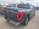 2021 F-150 Thumbnail 13