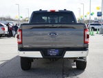 2021 F-150 Thumbnail 6