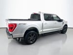 2021 F-150 Thumbnail 6